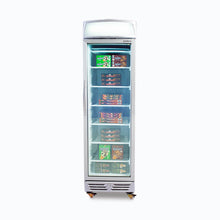 Glass door Freezer, 300 litres, static, light box