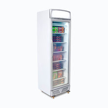 Glass door Freezer, 300 litres, static, light box