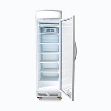 Glass door Freezer, 300 litres, static, light box
