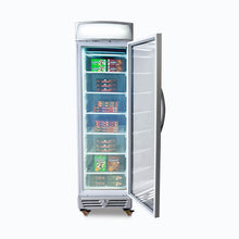 Glass door Freezer, 300 litres, static, light box
