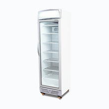Glass door Freezer, 300 litres, static, light box