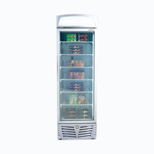 Glass door Freezer, 440 litres, static, light box